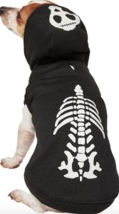 dog in glow in the dark skeleton hoodie