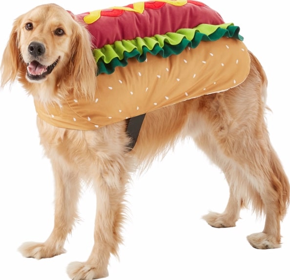 Hot Dog Costumes for Dogs Comfy, Classic, and Cute Halloween Gear