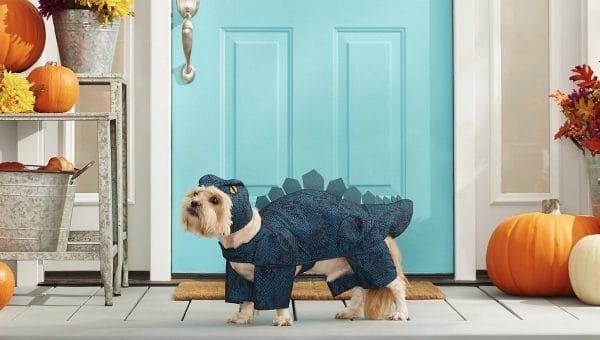 Dog in stegosaurus costume on porch