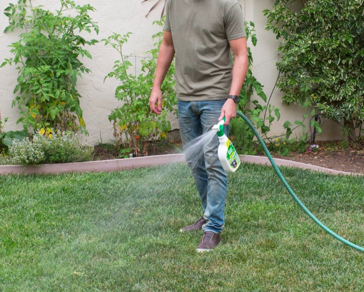 Man sprays Outdoor Odor Repair on dog lawn spots