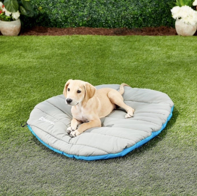 Lab puppy lays on Chuck-It dog bed on lawn as picnic blanket