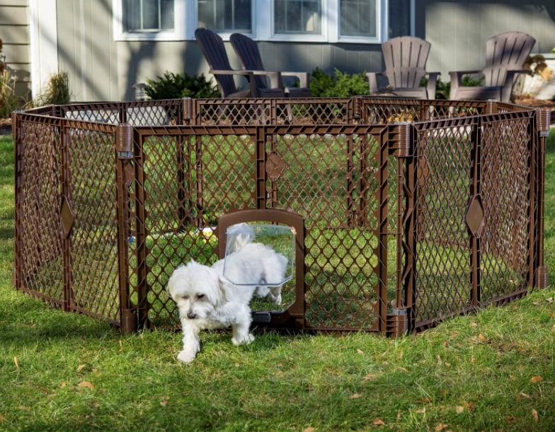Dog uses doggy door to exit outdoor pen in front of house