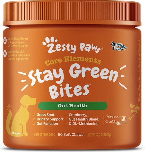 How To Keep Your Grass Green With Dogs