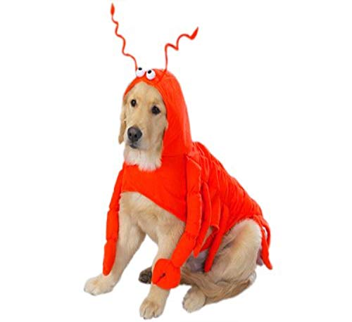 Dog in lobster costume