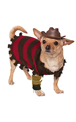 Chihuahua in a Freddy Krueger costume