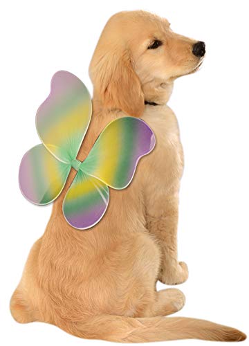 Dog wearing fairy wings costume on back