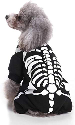 Poodle in skeleton hoodie with bone pattern