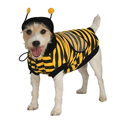 dog in bumble bee costume