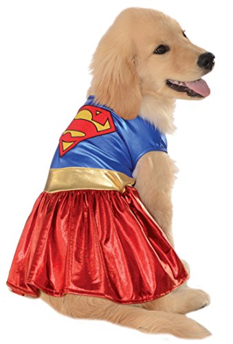 dog wearing DC Comics Supergirl Costume