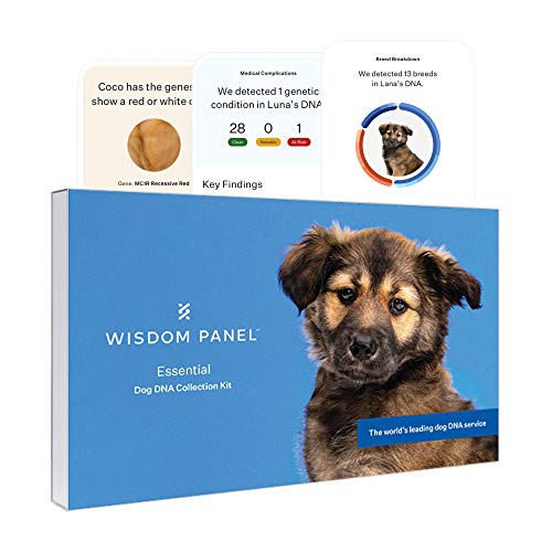 Wisdom Panel essential dog DNA collection kit box