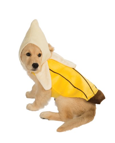 Dog in banana costume with hood