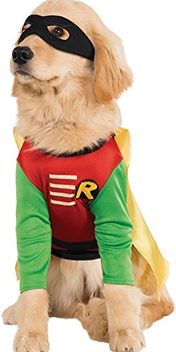 dog wearing DC Comics Teen Titans Robin Pet Costume