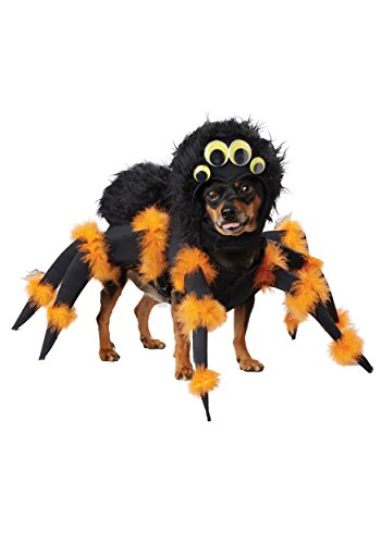 dog in California Costumes Pet Spider Dog Costume
