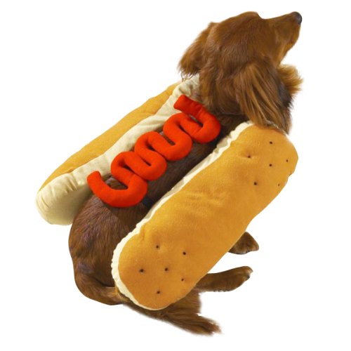 dog as frank with bun and ketchup on top