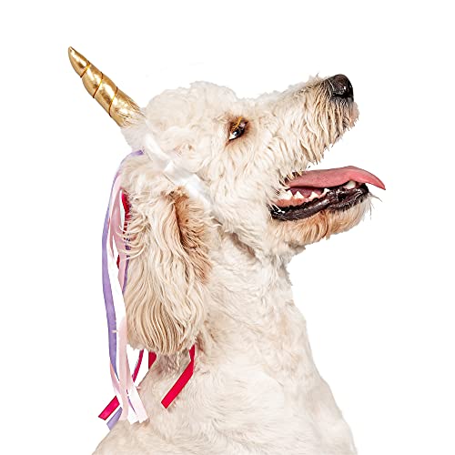 dog wearing Midlee Dog Unicorn Horn Headband