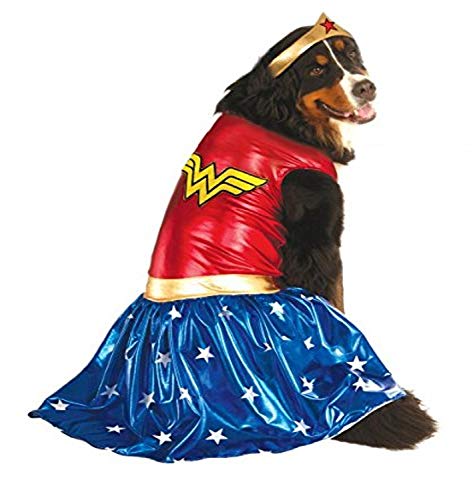large dog in Wonder Woman costume