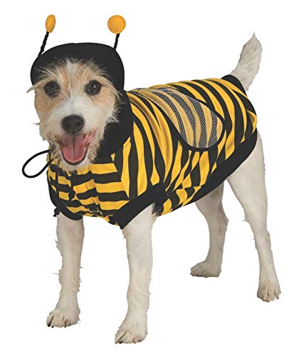 Terrier in a bumble bee costume