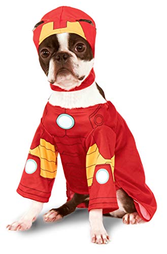 Dog in iron man halloween costume