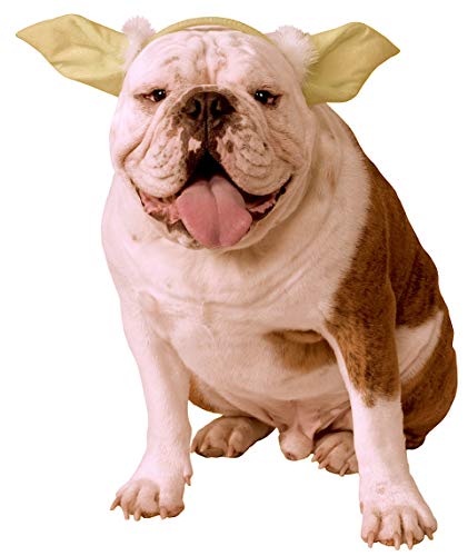 dog wearing "Star Wars" Classic Yoda dog headpiece