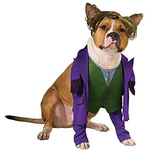 dog wearing "The Dark Knight" Joker dog costume
