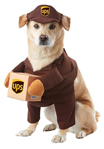 dog wearing UPS Delivery dog walking-style costume