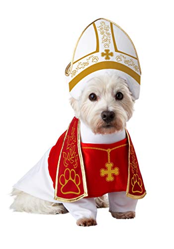 Dog in pope costume with tall hat and stole