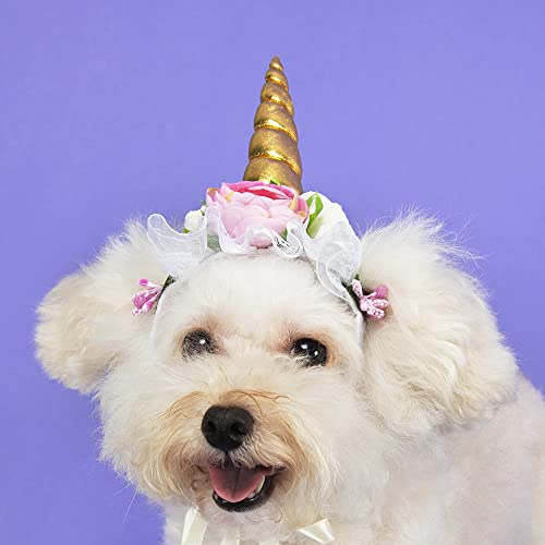 dog wearing pet Halloween costume unicorn horn with flowers headband