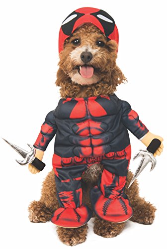 dog wearing Rubie's Marvel Deadpool Pet Costume