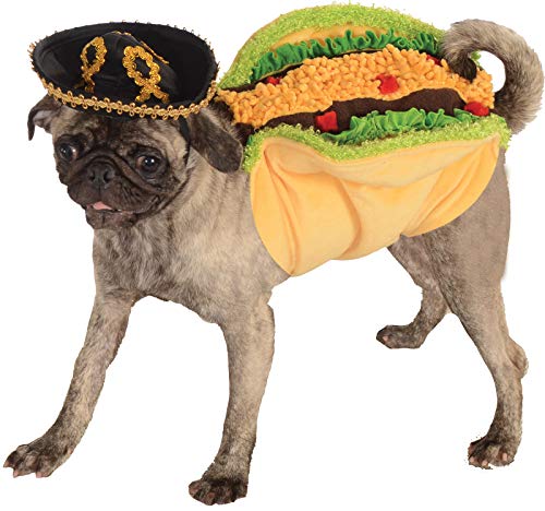 Pug in halloween taco costume