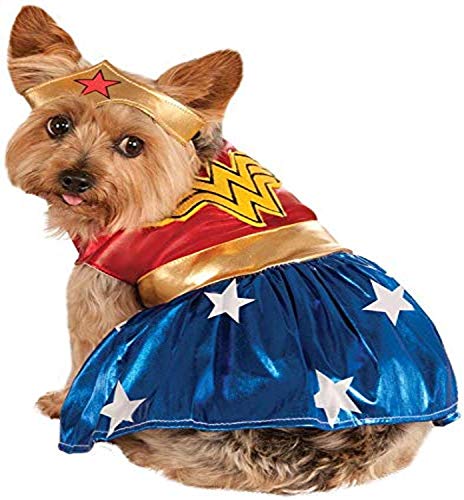 dog wearing DC Comics Wonder Woman Costume