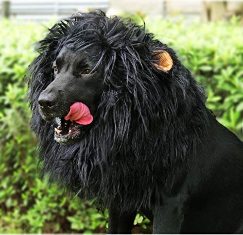 Black dog licking lips in large black lion wig with ears