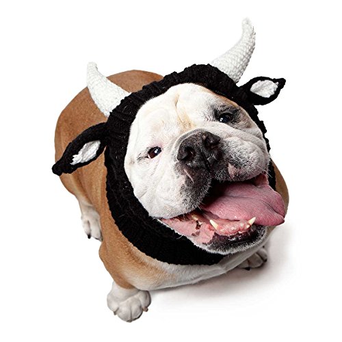 Bulldog wearing a bull snood costume