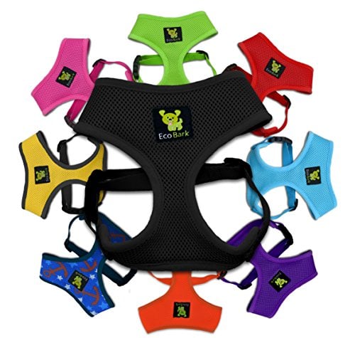 multiple colored dog harnesses