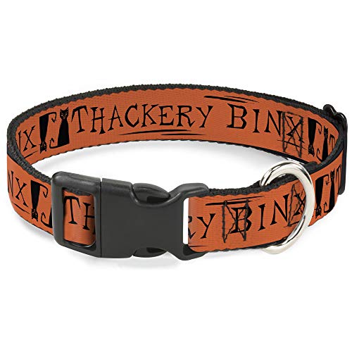 Orange collar with "Thackery Binx" lettering and cat silhouette