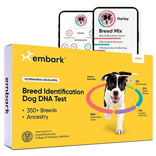 Embark dog DNA breed identification test
