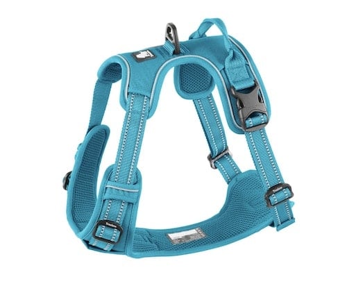 Teal dog harness