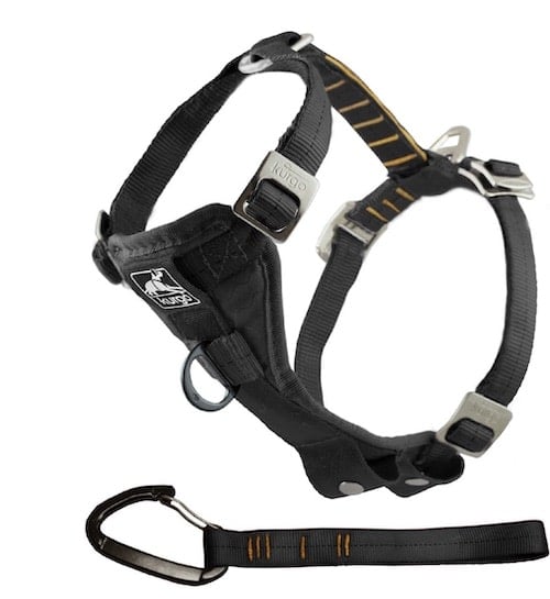 black dog harness