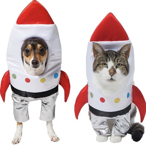 dog and cat both in a front-walking rocket ship Halloween costume