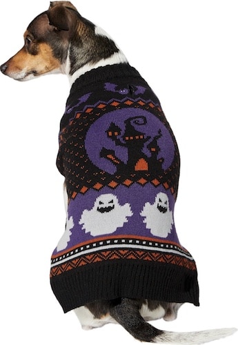 dog wearing purple, orange and black spooky ghost sweater