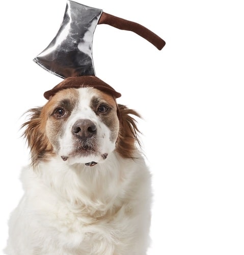 dog wearing axe headpiece Halloween costume