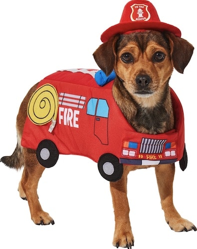 dog in a firetruck Halloween costume