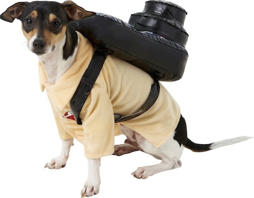 dog in Ghostbusters jumpsuit Halloween costume