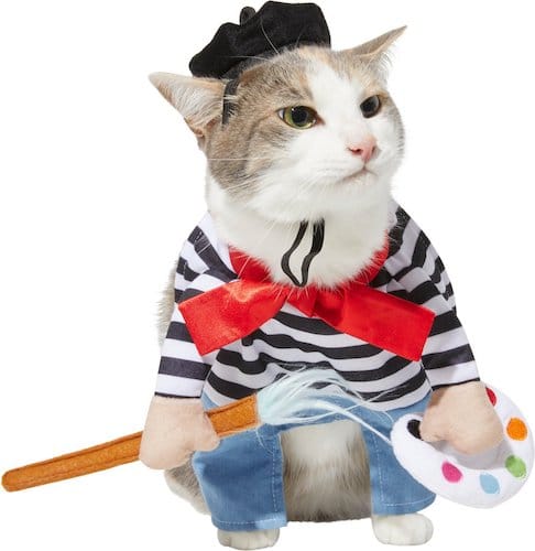 cat dressed like French artist
