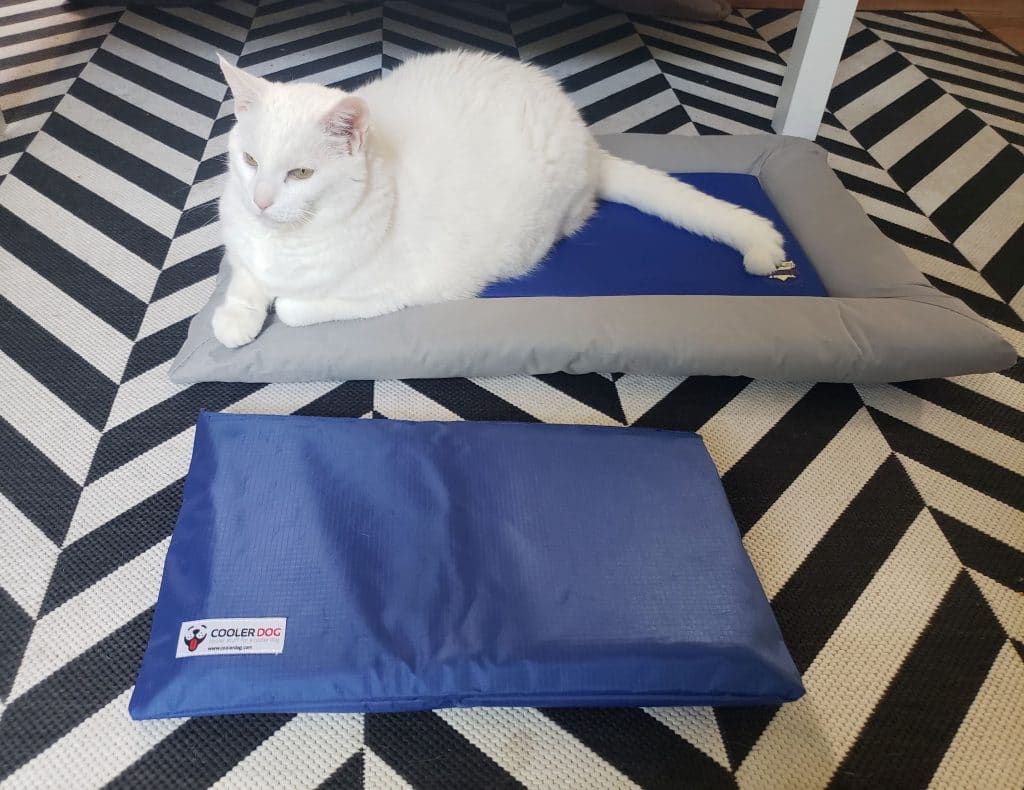 two cat cooling mats