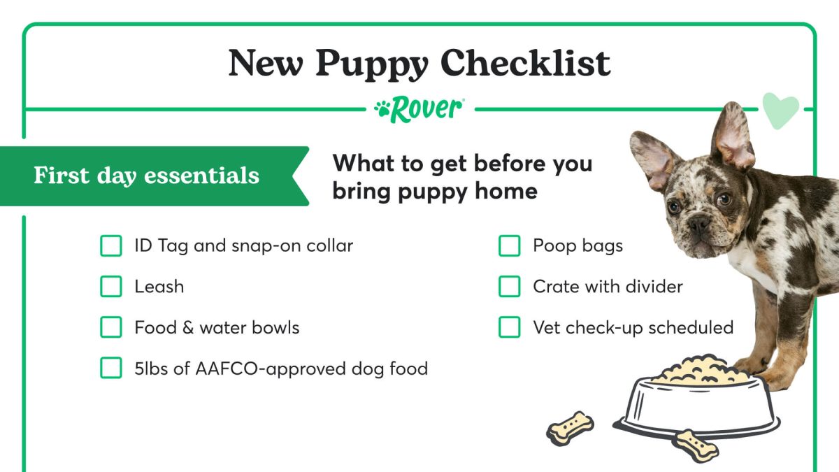 Puppy's First 24 Hours: Night Tips, Checklists &amp; More