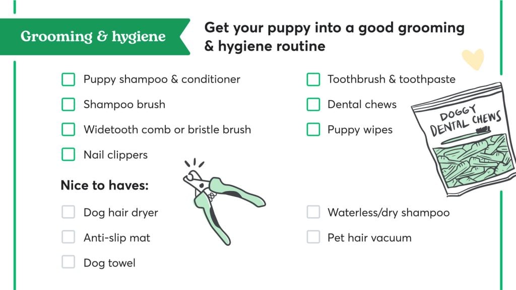 New puppy grooming supplies checklist