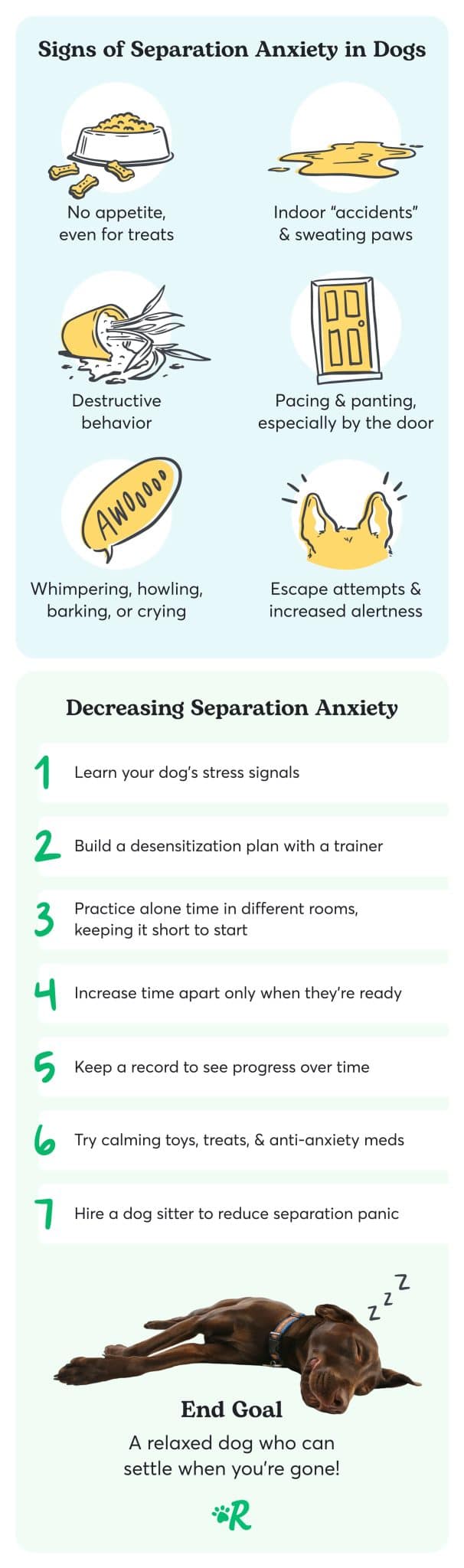 Here's the Only Real Way to Train a Dog with Separation Anxiety The
