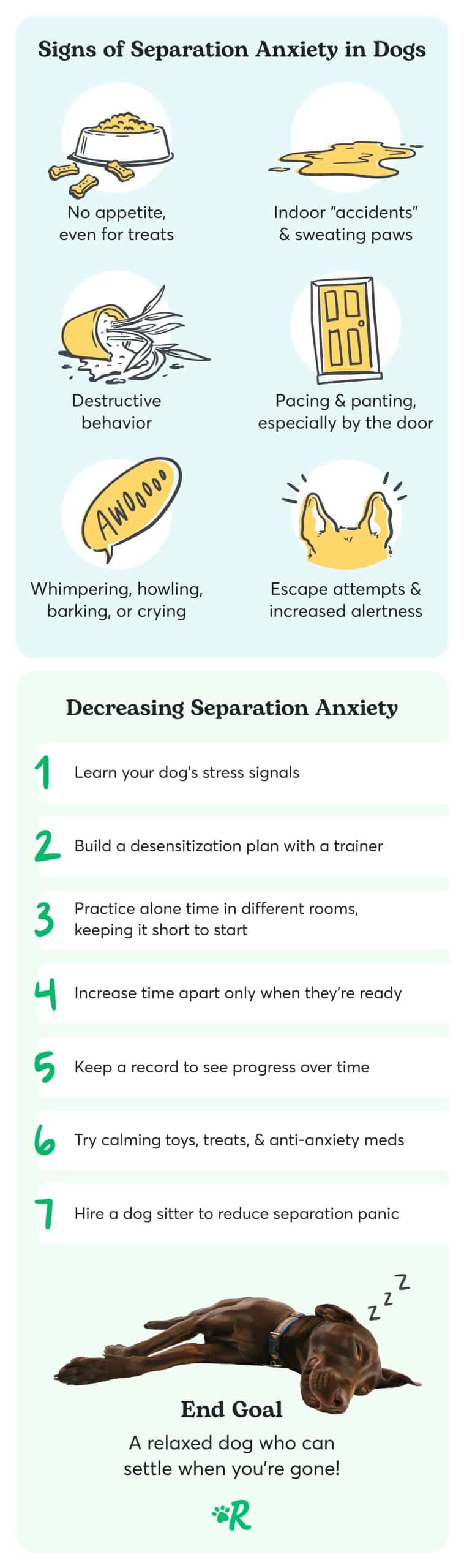 Signs of separation anxiety, from lack of appetite to barking, and seven steps on how to decrease sepration anxiety