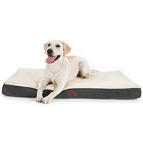 Dog sitting on a fleece mattress