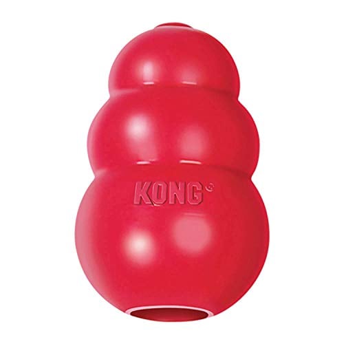 Classic red rubber Kong toy